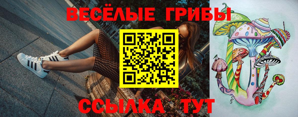 закладки  Псилоцибиновые грибы Cubensis  Вход с VPN  Магнитогорск  Псилоцибиновые грибы ЛСД 